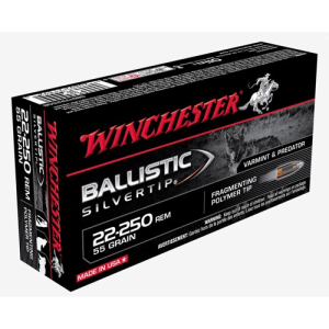 WINCHESTER Ballistic Silvertip 22-250 Rem 55Gr Fragmenting Polymer Tip Brass Ammunition | 20 Rounds