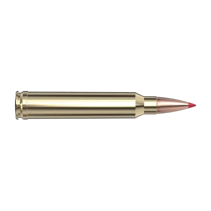 Hornady Superformance .300 Win Mag 165 gr CPT 20rds