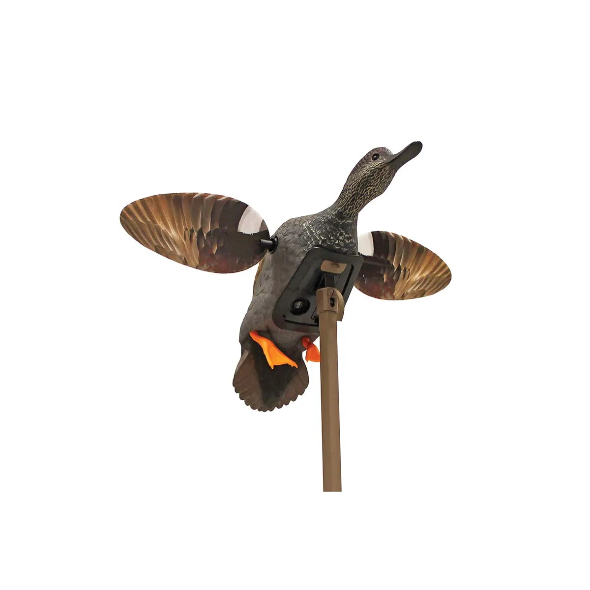 Mojo Outdoors Elite Gadwall Decoy