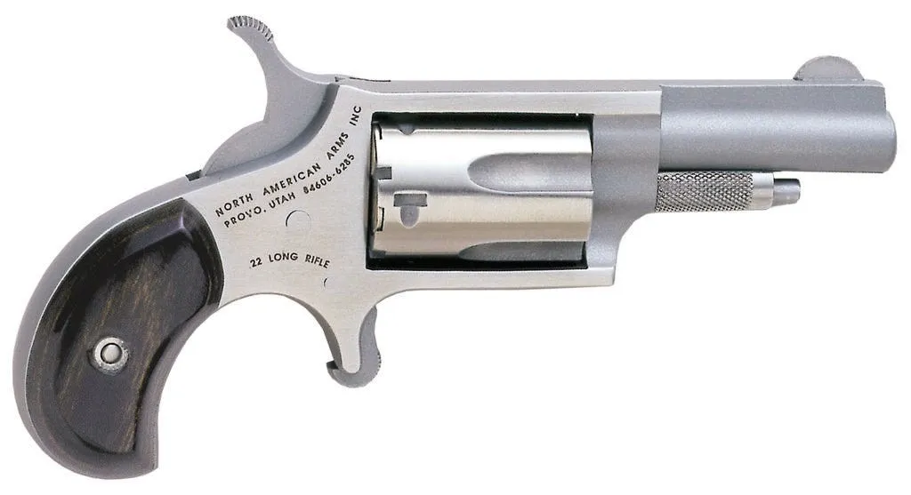 NAA Mini-Revolver Stainless .22 LR 1.625 Barrel 5-Rounds Fixed Sights